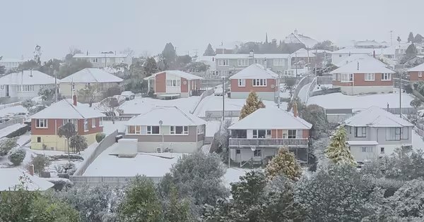 Snow blanketed Dunedin during the 4 August cold snap, closing schools and state highways before black-ice warnings followed.