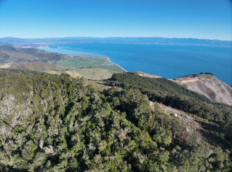 The Nelson Tasman radar will be located near Horoirangi Peak, improving monitoring across Tasman Bay and nearby catchments.
