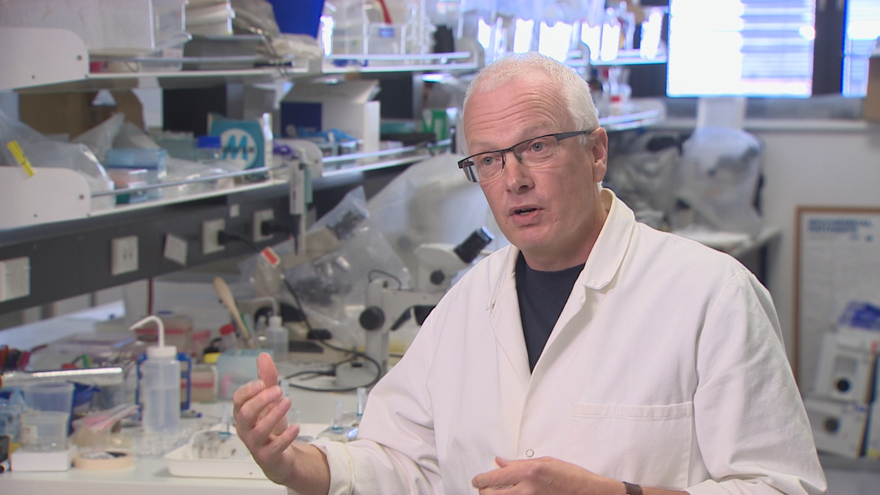 Science job cuts spark 'brain drain' warning from researchers