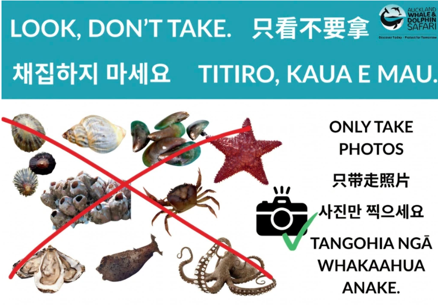 A multilingual rockpool protection sign tells visitors to look but not take marine life from coastal pools.